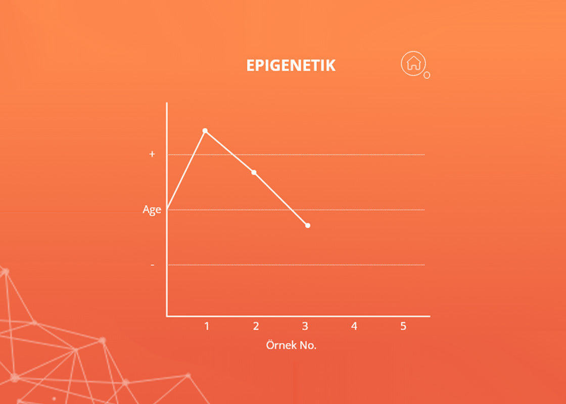 Epigenetik, DNA metiltransferaz (MTase) enzim ailesinin bir metil grubunu DNA’ya eklemesi sürecini içerir