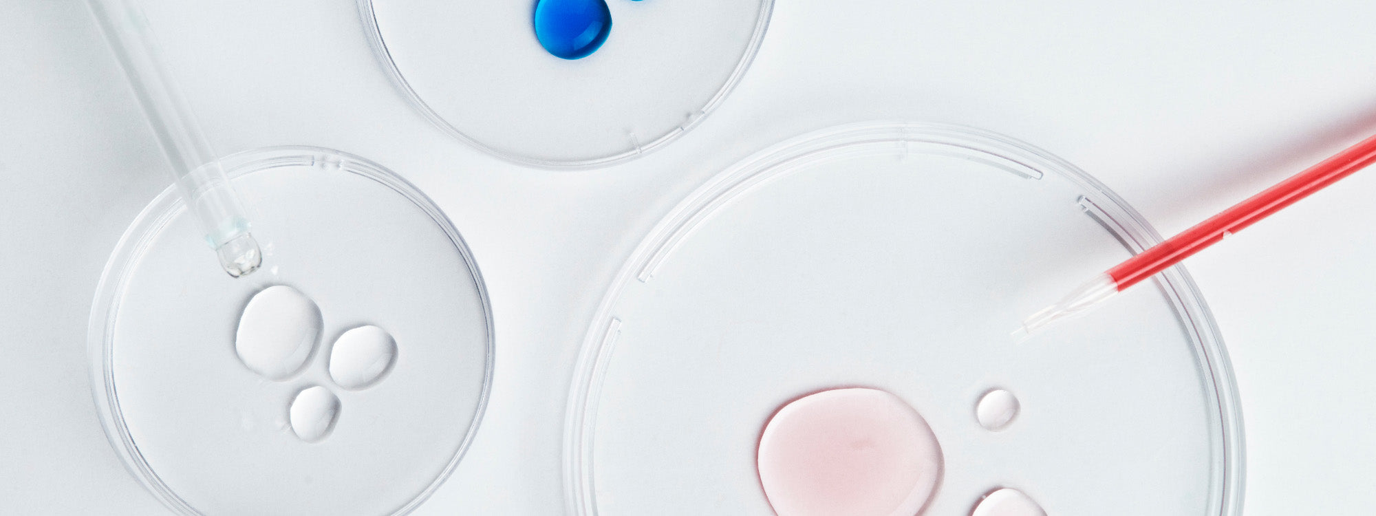 kendiniz hakkında daha fazla bilgiye muhdo ile ulaşın